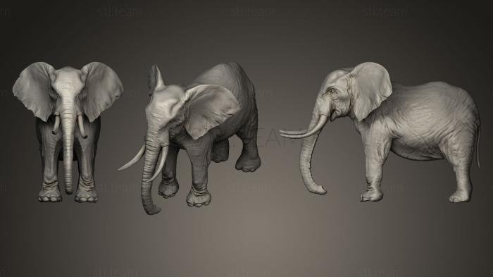 Статуэтки животных Elephant 3d